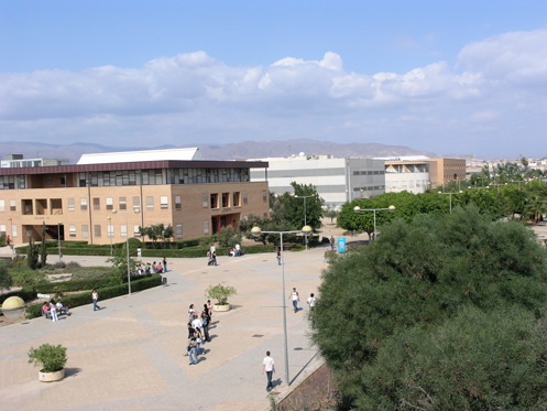 View of the central corridor from the roof